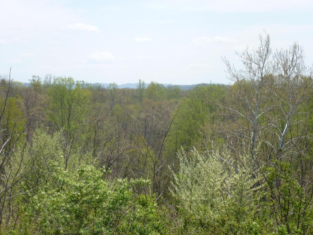 DAVIS STUART ROAD, Lewisburg, WV 24901
