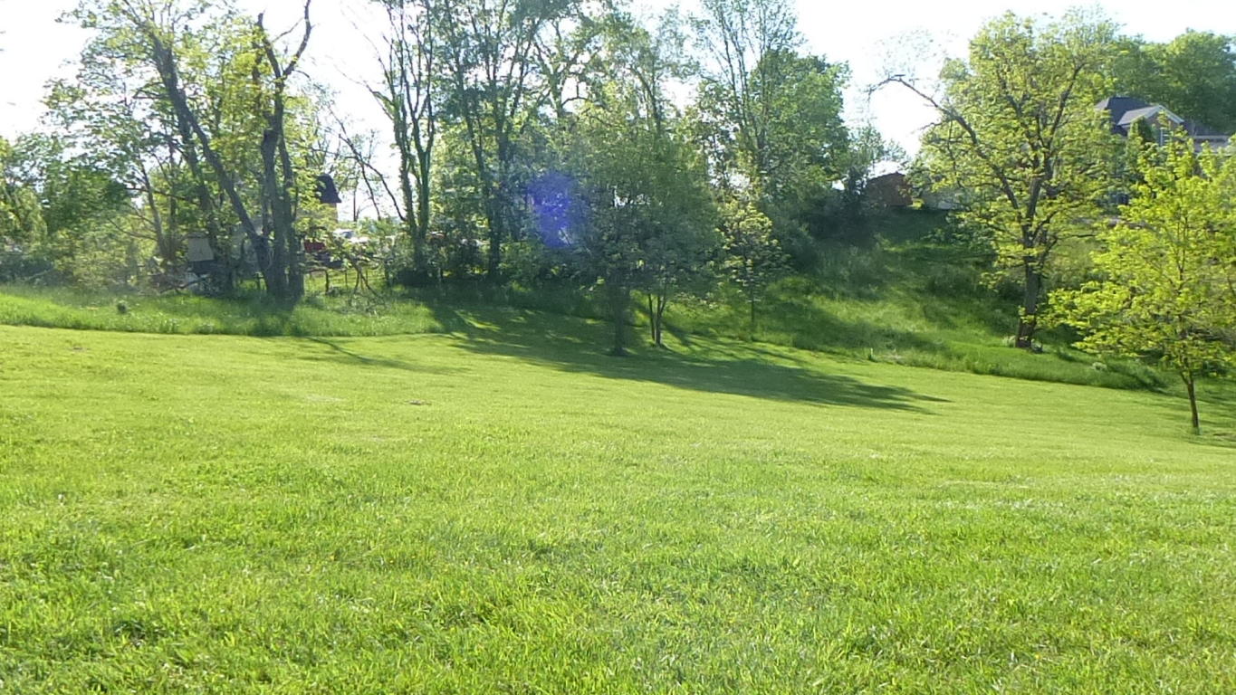 DAVIS STUART ROAD, Lewisburg, WV 24901
