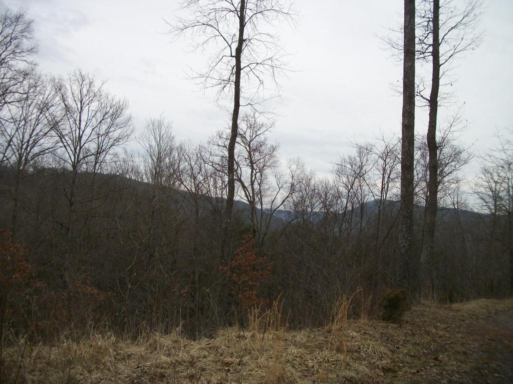 4.53 ACRES HIGHLANDER TRAIL, Lewisburg, WV 24901