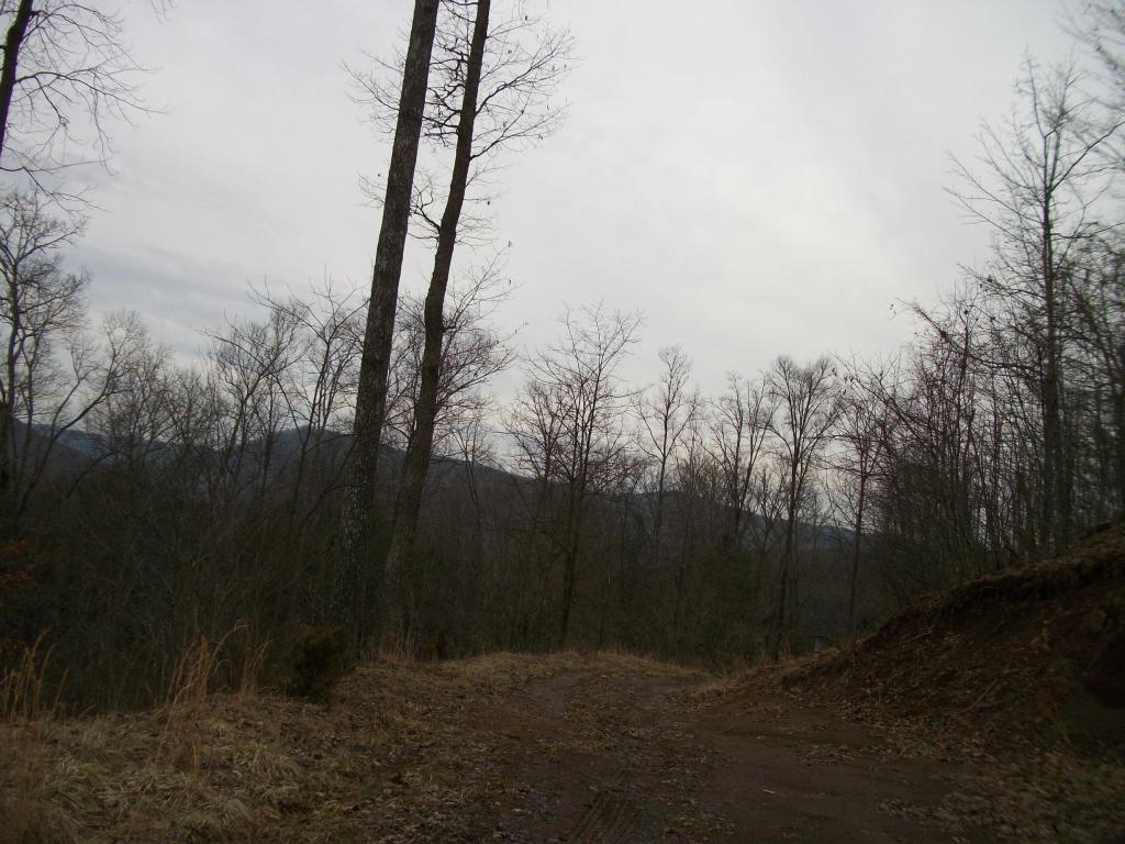 4.53 ACRES HIGHLANDER TRAIL, Lewisburg, WV 24901