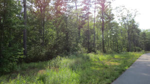 Lot 22 Woodhaven Subdivision, Lewisburg, WV 24901