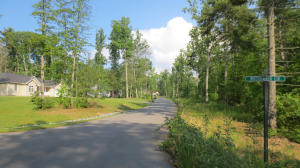 Lot 22 Woodhaven Subdivision, Lewisburg, WV 24901