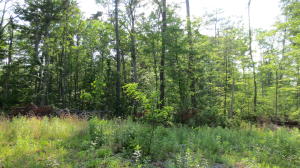 Lot 28 Woodhaven Subdivision, Lewisburg, WV 24901