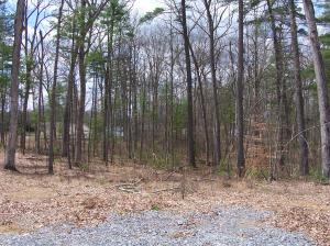Lot 24 Woodhaven Subdivision, Lewisburg, WV 24901