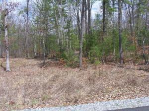 Lot 24 Woodhaven Subdivision, Lewisburg, WV 24901