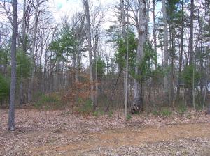 Lot 24 Woodhaven Subdivision, Lewisburg, WV 24901