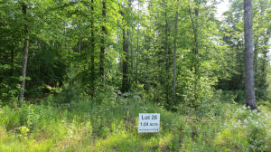 Lot 24 Woodhaven Subdivision, Lewisburg, WV 24901