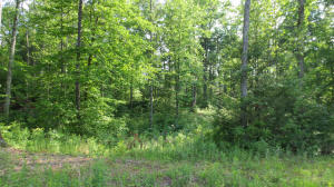 Lot 24 Woodhaven Subdivision, Lewisburg, WV 24901