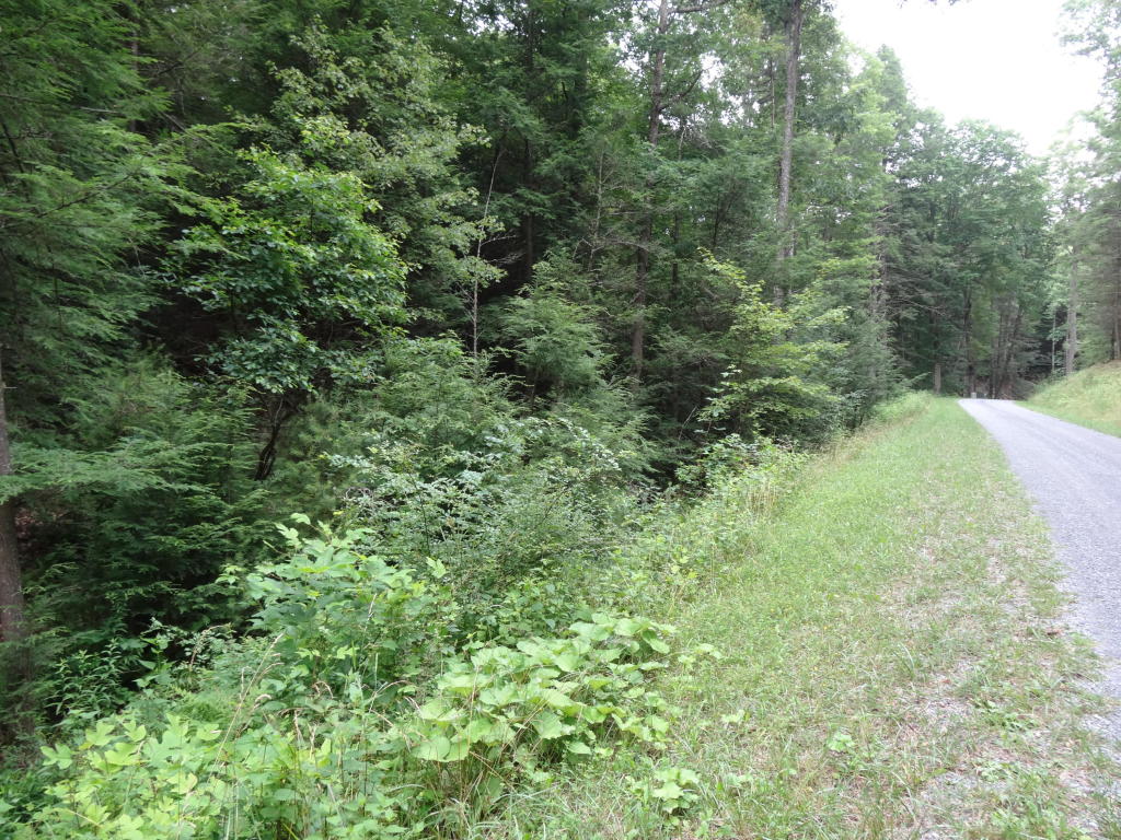 LOT 25 ASBURY TRACE, Lewisburg, WV 24901