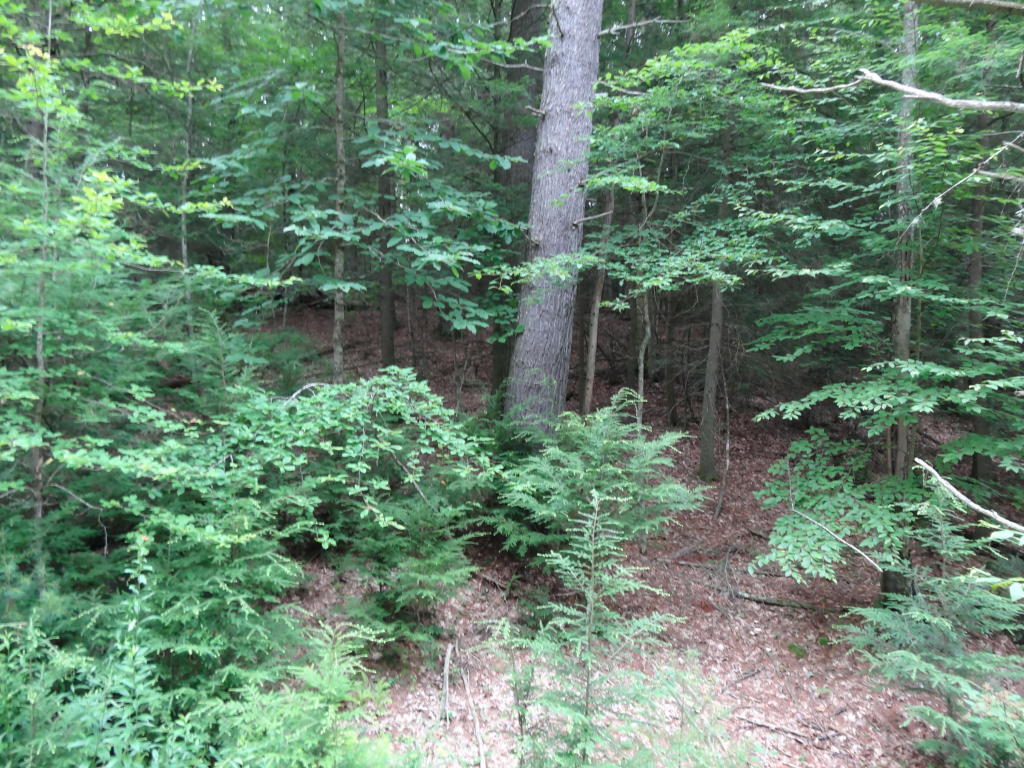 LOT 25 ASBURY TRACE, Lewisburg, WV 24901