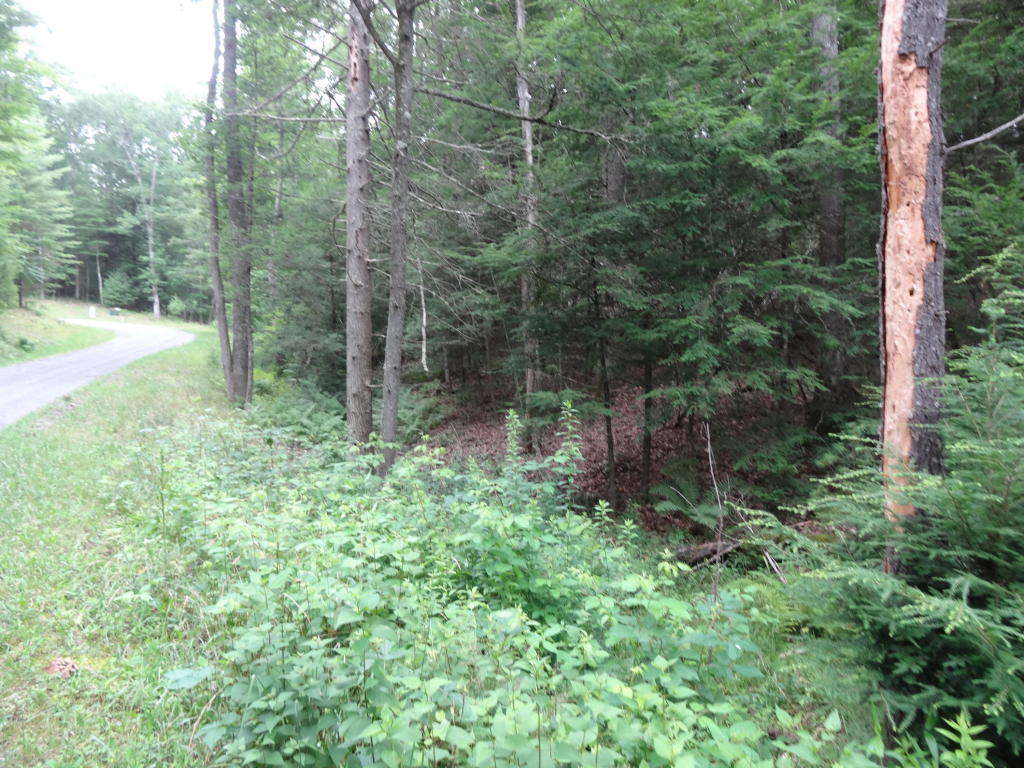 LOT 25 ASBURY TRACE, Lewisburg, WV 24901