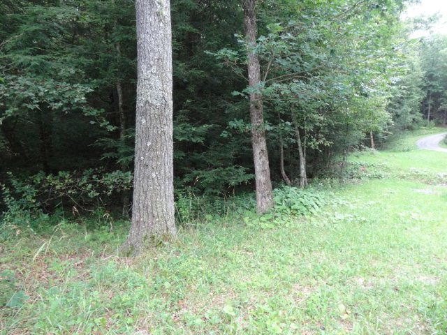 - ASBURY TRACE, Lewisburg, WV 24901