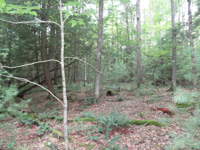 - ASBURY TRACE, Lewisburg, WV 24901