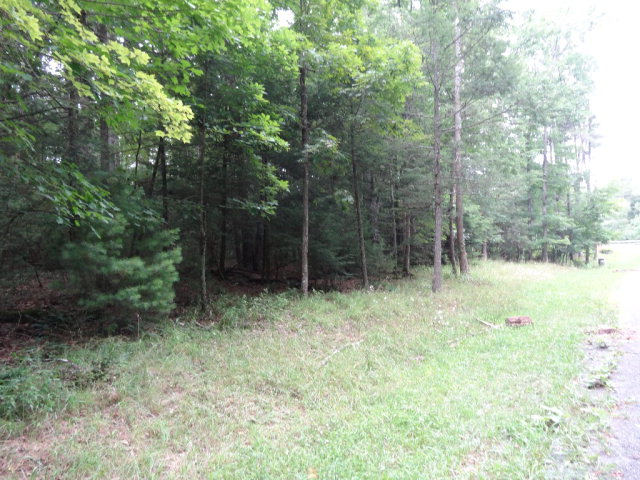- ASBURY TRACE, Lewisburg, WV 24901