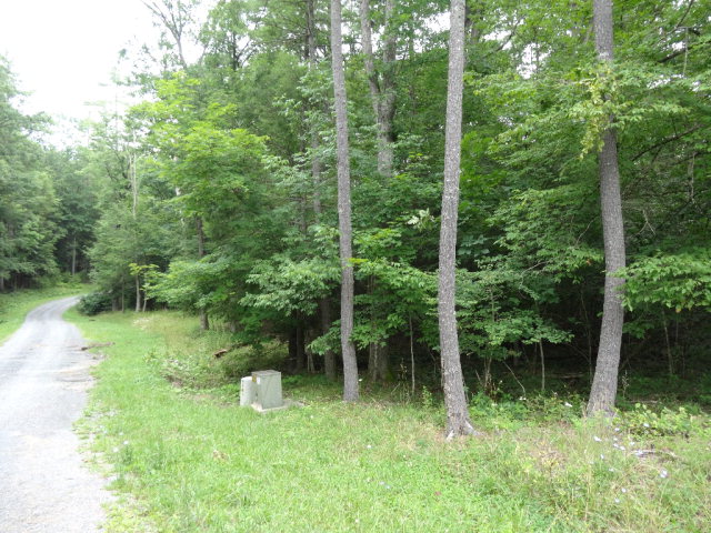 - ASBURY TRACE, Lewisburg, WV 24901