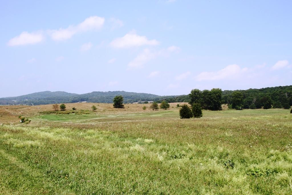 LOT 29 JAMES RIVER ROAD, Lewisburg, WV 24901