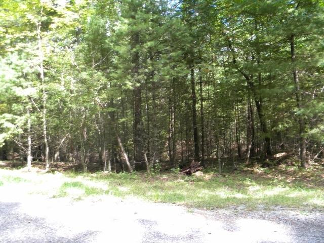 Lot 16 Asbury Trace