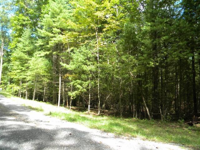 Lot 16 Asbury Trace