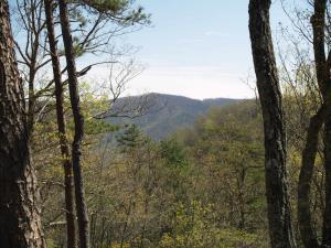 Lot 16 Asbury Trace