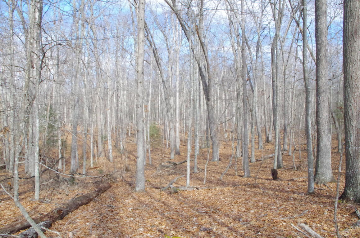 Lot 27 James River Road