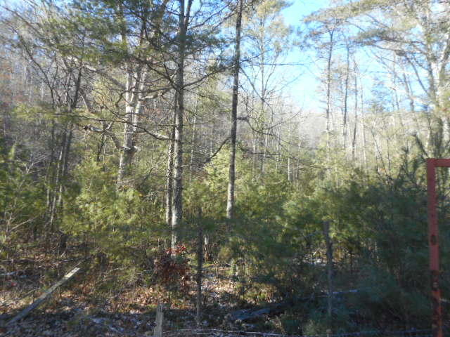 248 Wildwood Ave