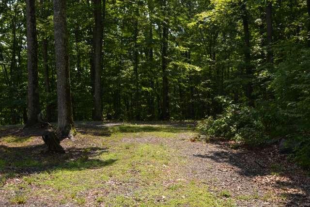 641 Highlander Trail