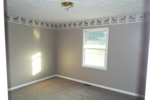 2992 Brush RdLewisburg, WV, 24901Greenbrier County