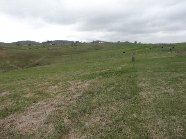 - MAYAPPLE TRAIL, Lewisburg, WV 24910