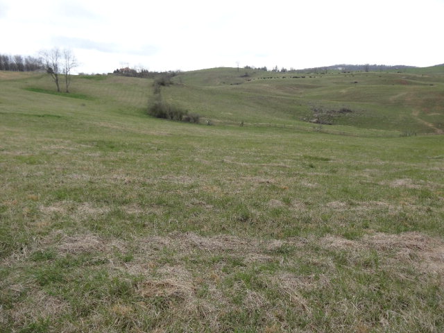 - MAYAPPLE TRAIL, Lewisburg, WV 24910