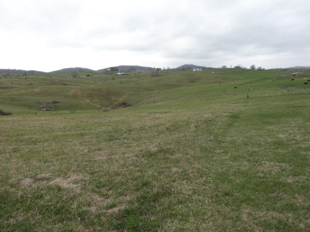 - MAYAPPLE TRAIL, Lewisburg, WV 24910