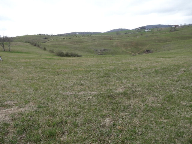 - MAYAPPLE TRAIL, Lewisburg, WV 24910