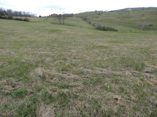- MAYAPPLE TRAIL, Lewisburg, WV 24910