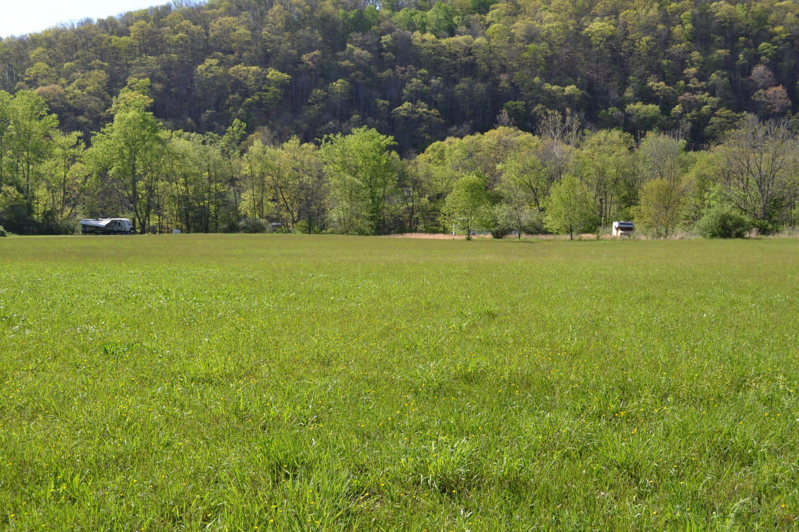 TROUT LANE, Alderson, WV 24910