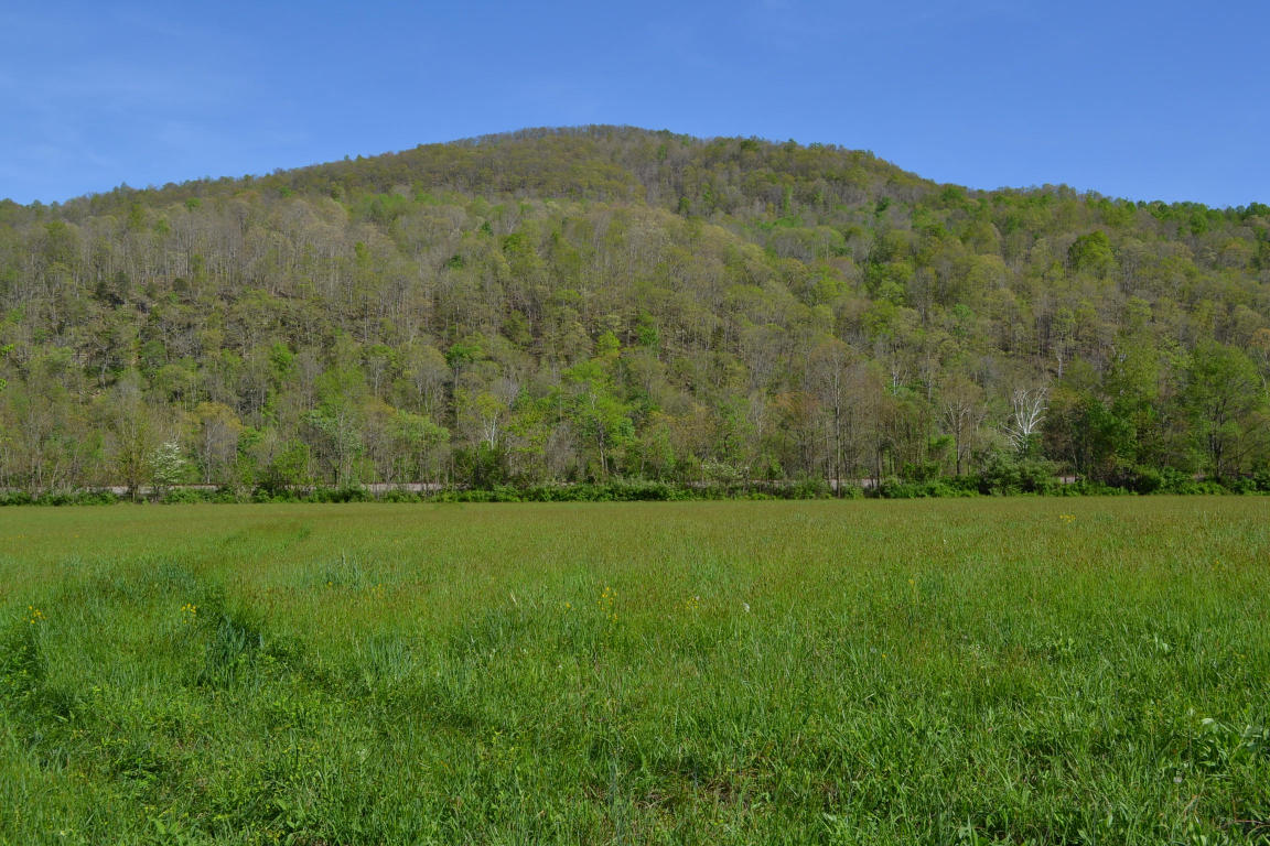 TROUT LANE, Alderson, WV 24910