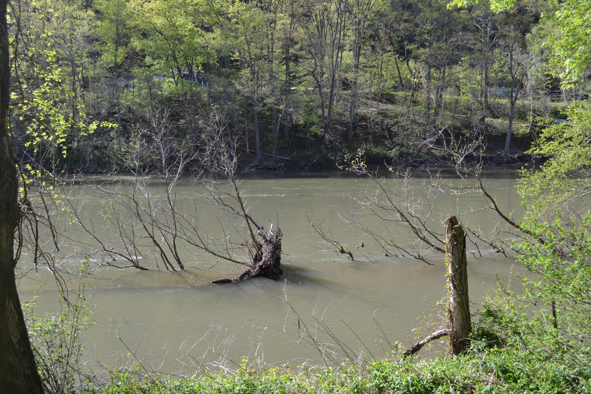 TROUT LANE, Alderson, WV 24910