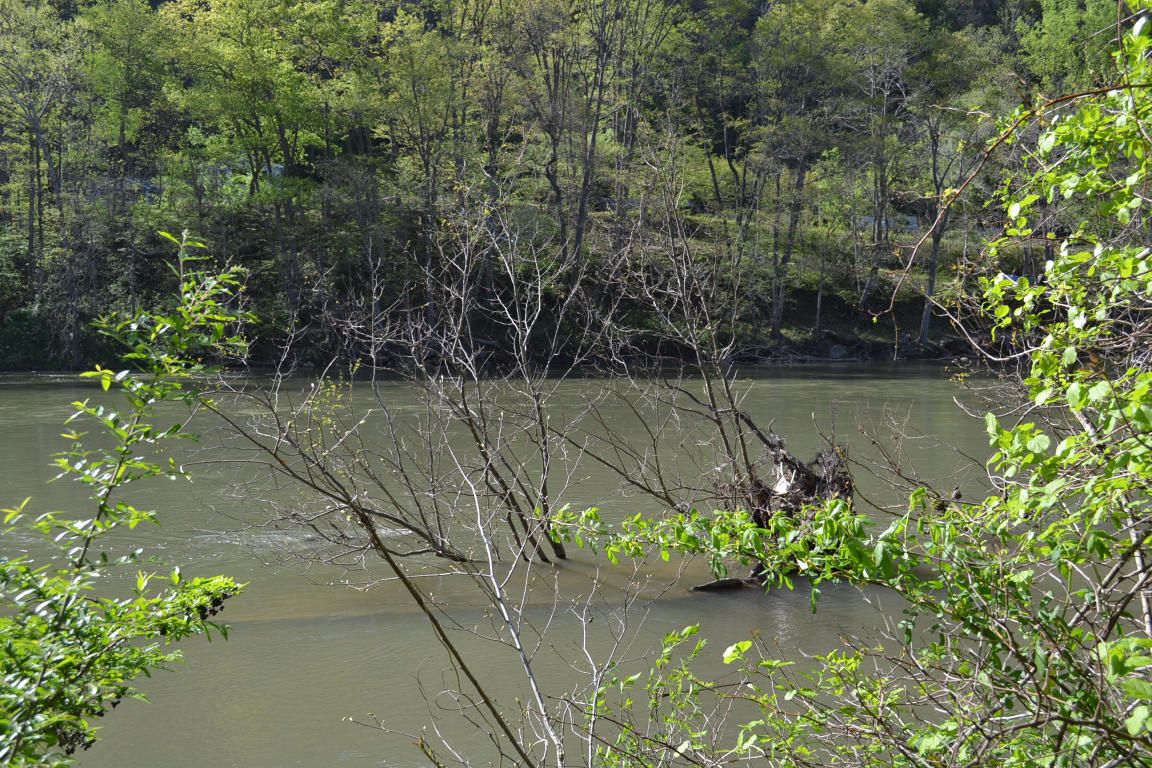 TROUT LANE, Alderson, WV 24910