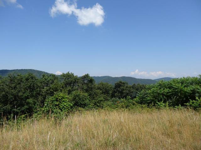 - Muddy Creek Mountain Road