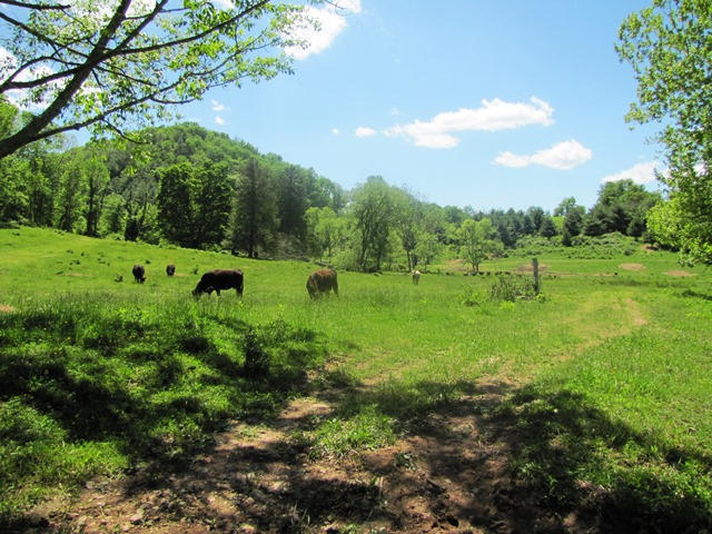Adair Ridge Rd
