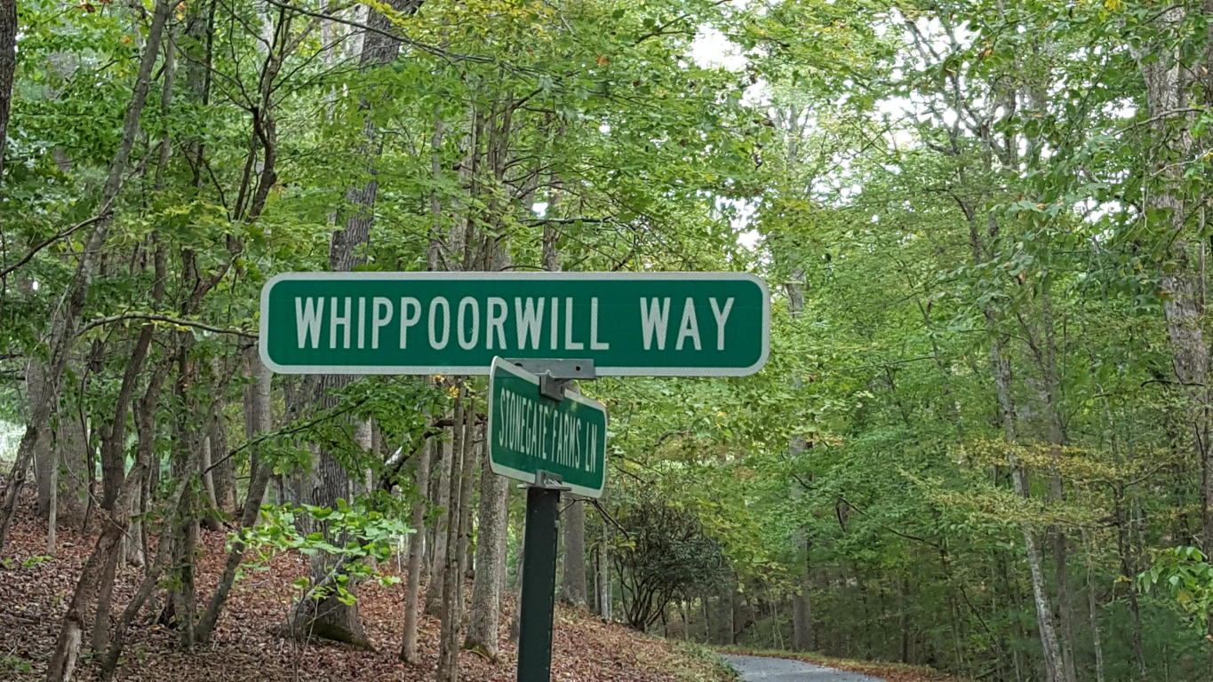 4 ACRE WHIPPOORWILL WAY, Caldwell, WV 24925