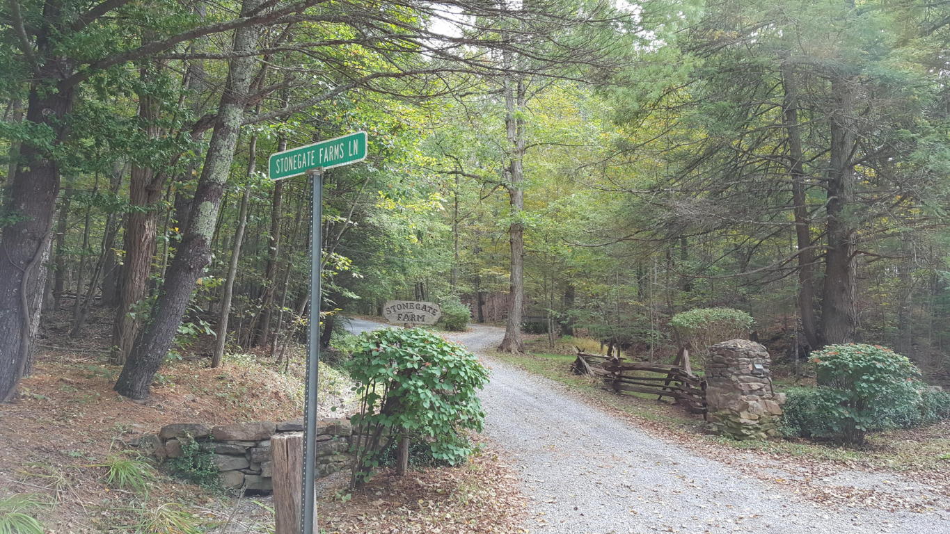 4 ACRE WHIPPOORWILL WAY, Caldwell, WV 24925
