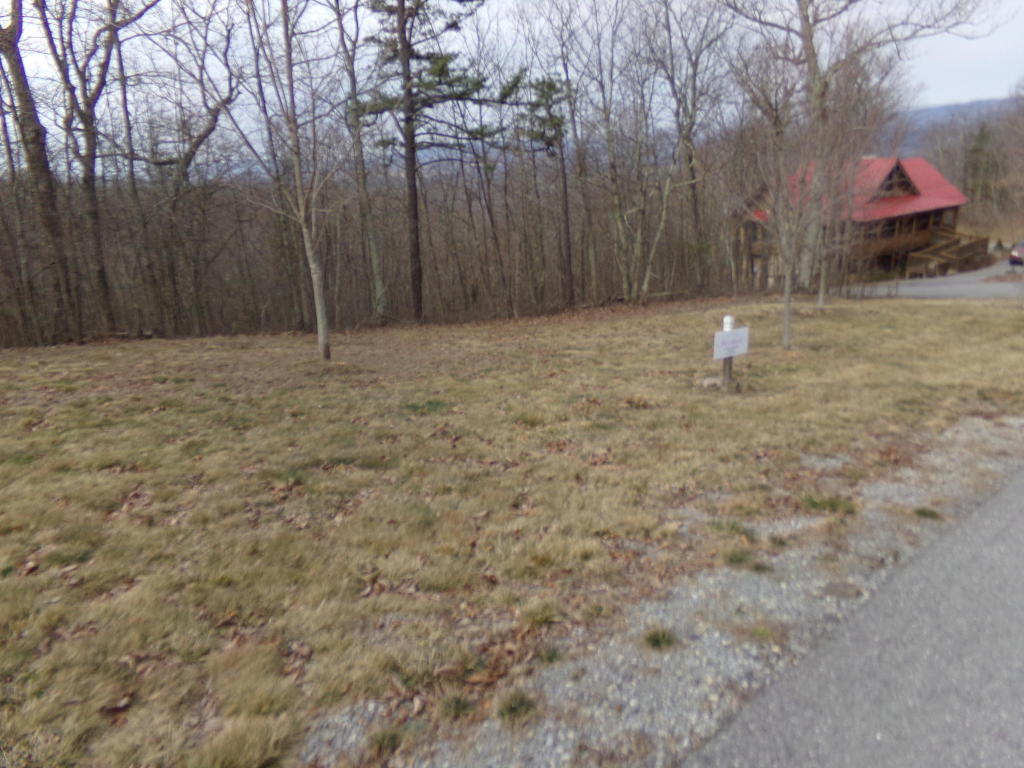 LOT 91 WHITE ROCK TRAIL, Caldwell, WV 24925