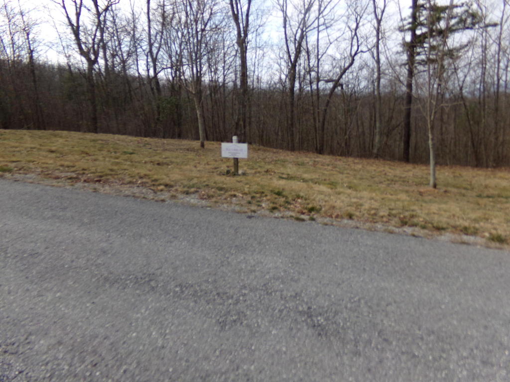 LOT 91 WHITE ROCK TRAIL, Caldwell, WV 24925