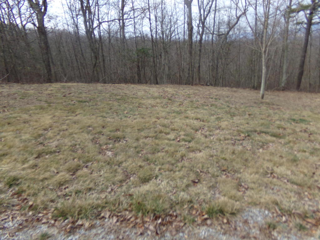 LOT 91 WHITE ROCK TRAIL, Caldwell, WV 24925
