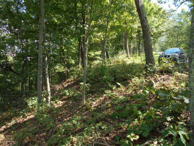 LOT 72 WHITE ROCK TRAIL, Caldwell, WV 24925