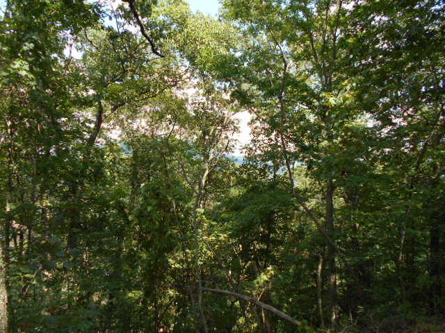 LOT 72 WHITE ROCK TRAIL, Caldwell, WV 24925