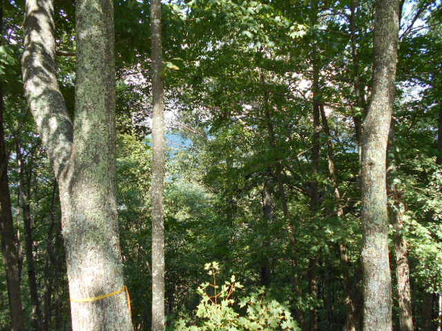 LOT 72 WHITE ROCK TRAIL, Caldwell, WV 24925
