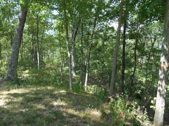 LOT 72 WHITE ROCK TRAIL, Caldwell, WV 24925