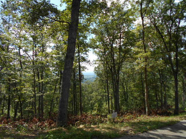 LOT 72 WHITE ROCK TRAIL, Caldwell, WV 24925