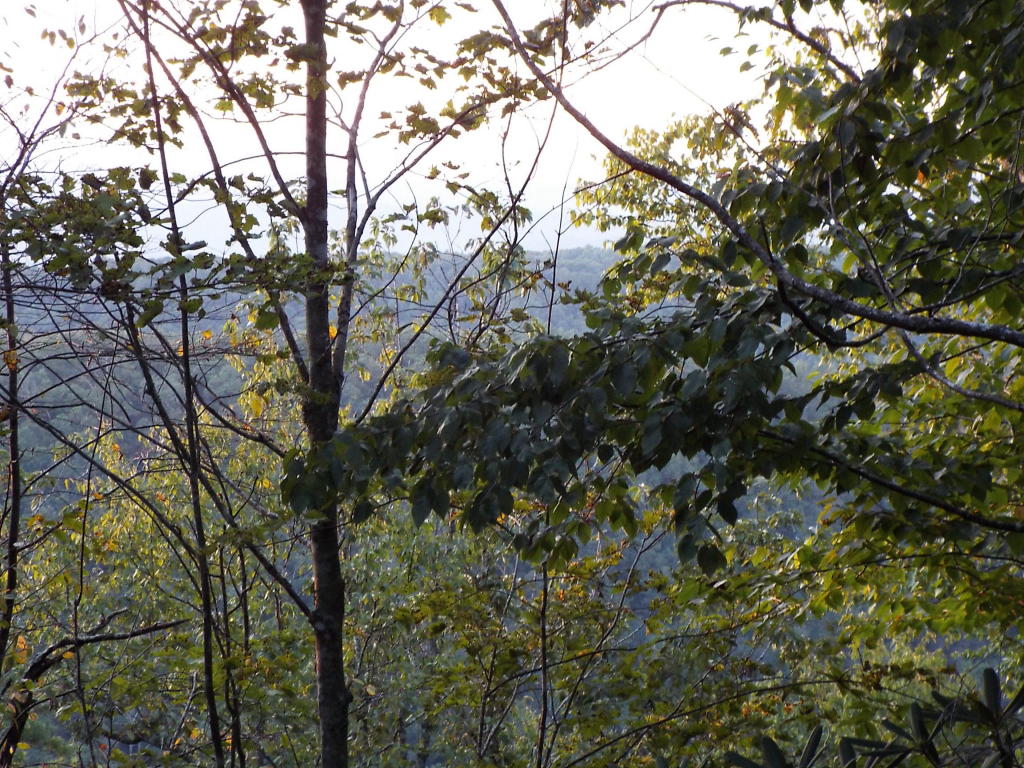 COLEMAN CLIFF, Frankford, WV 24938