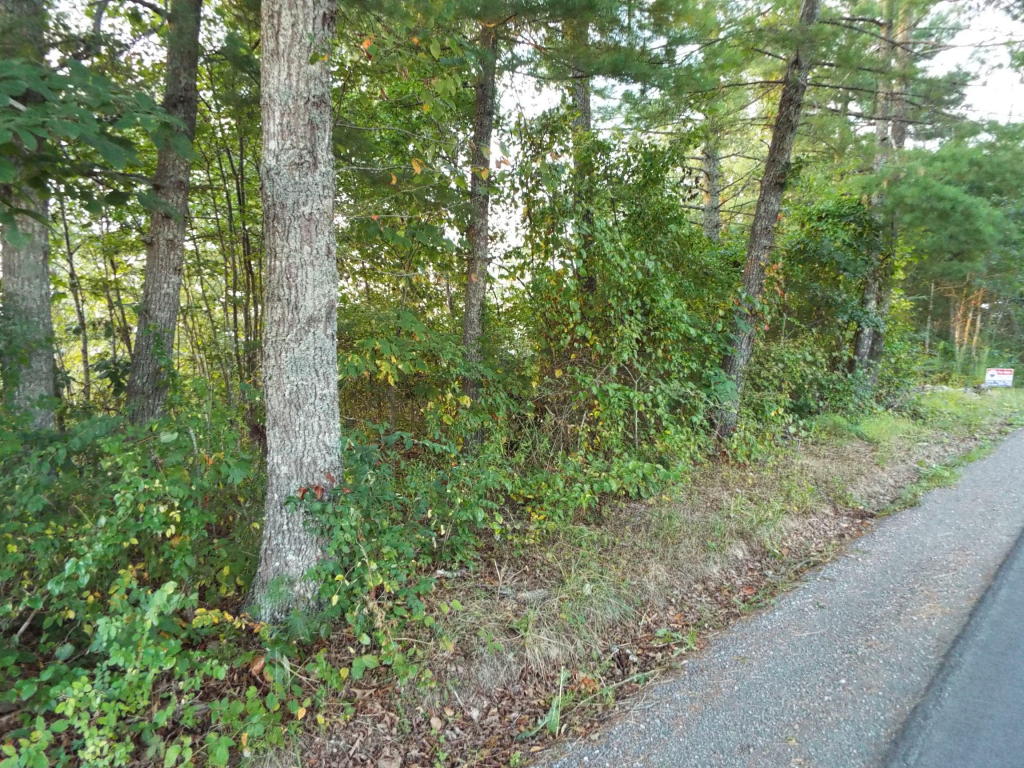 COLEMAN CLIFF, Frankford, WV 24938